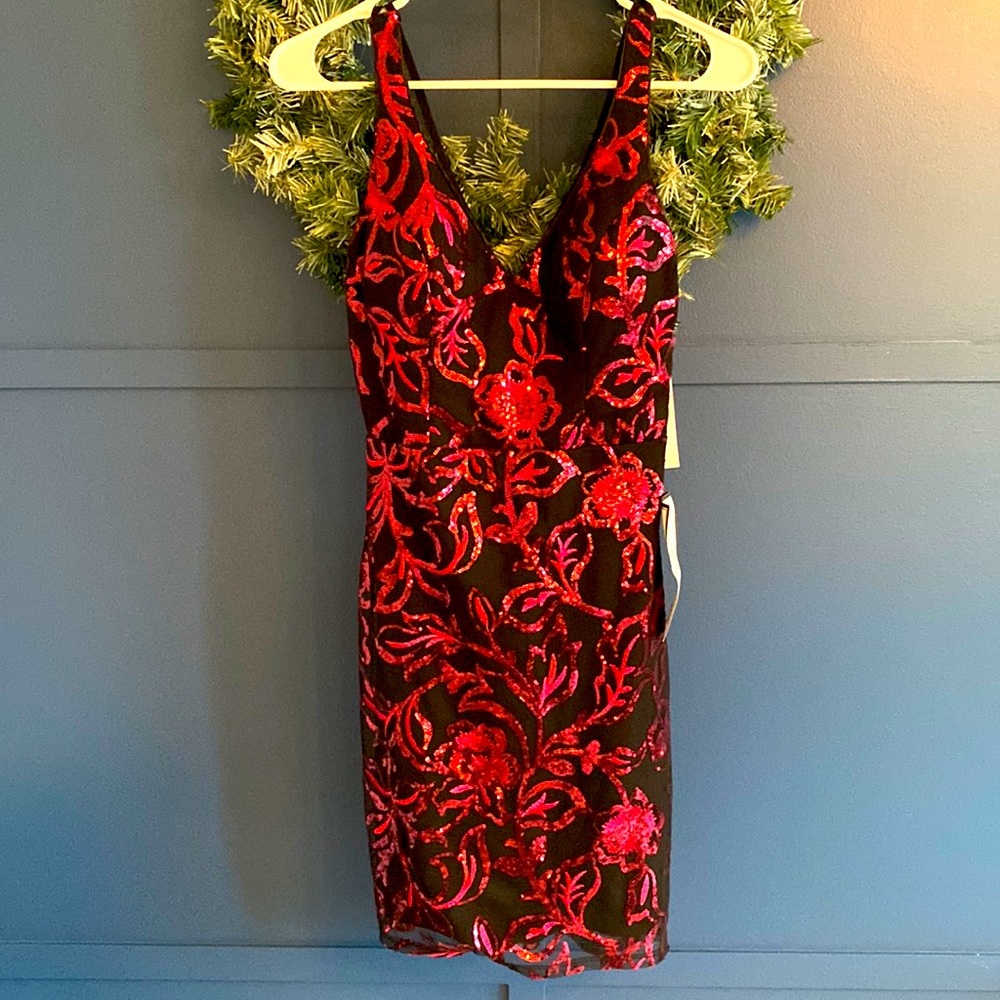 Brand New Sparkly Holiday Dress